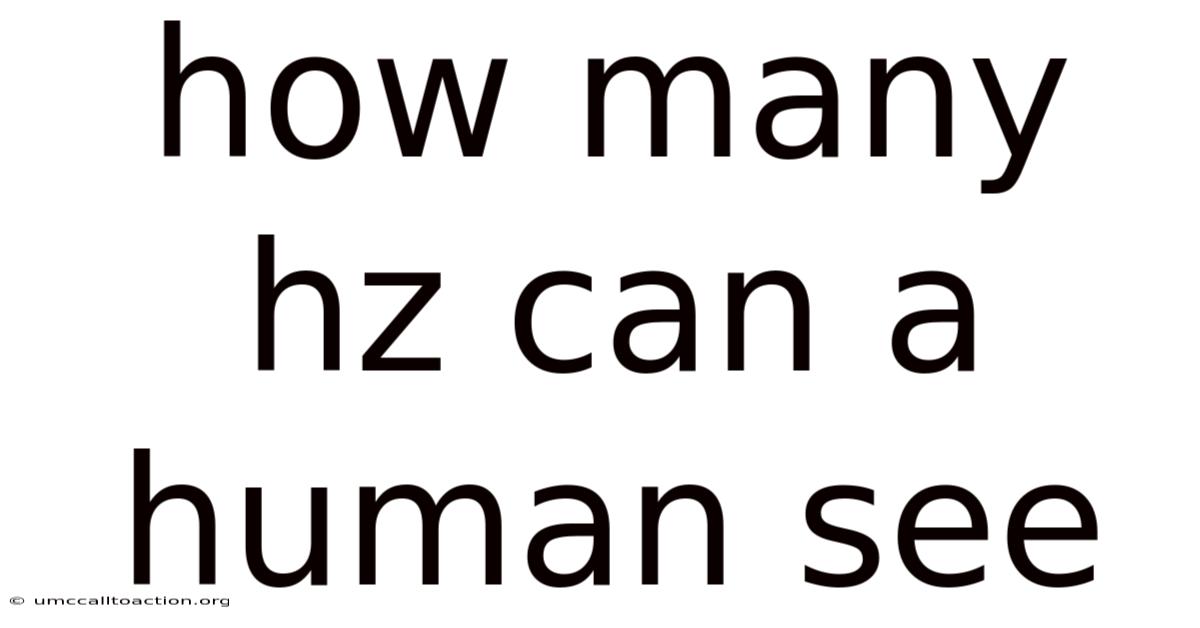 How Many Hz Can A Human See