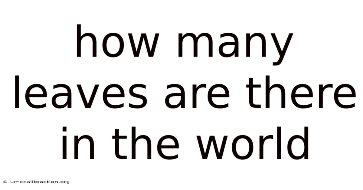How Many Leaves Are There In The World