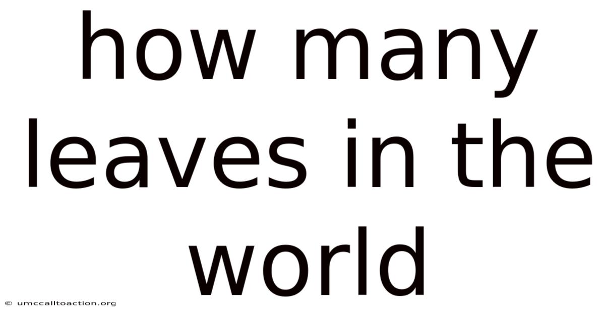 How Many Leaves In The World