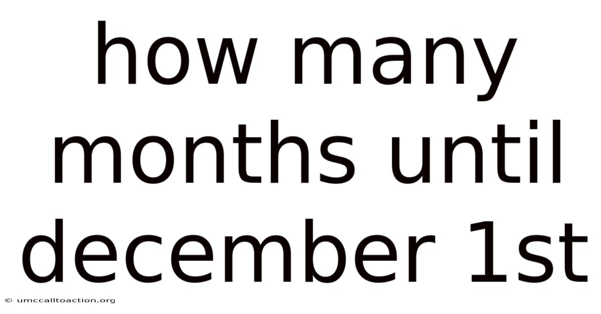 How Many Months Until December 1st