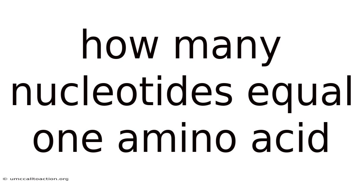 How Many Nucleotides Equal One Amino Acid