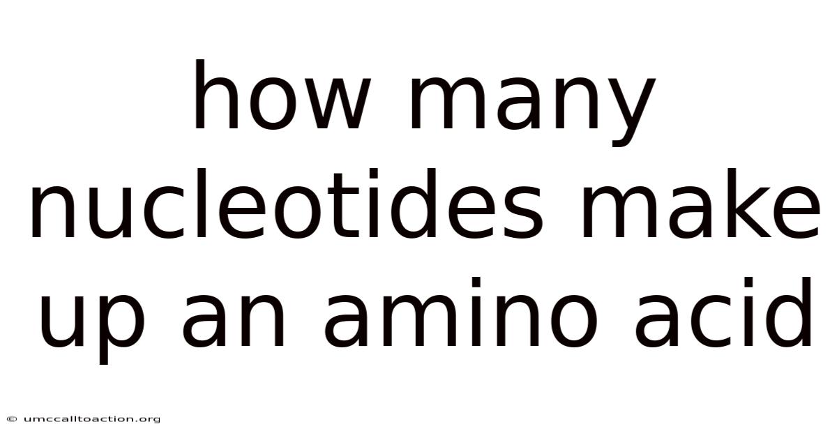 How Many Nucleotides Make Up An Amino Acid