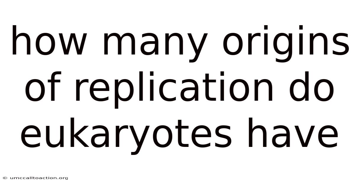 How Many Origins Of Replication Do Eukaryotes Have