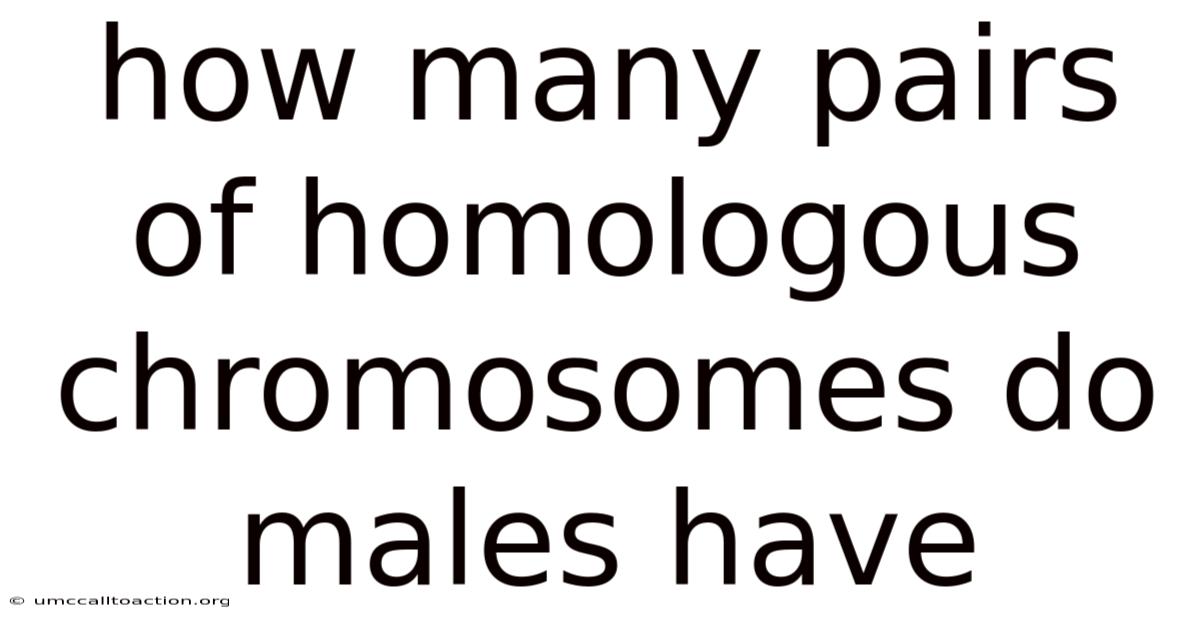 How Many Pairs Of Homologous Chromosomes Do Males Have