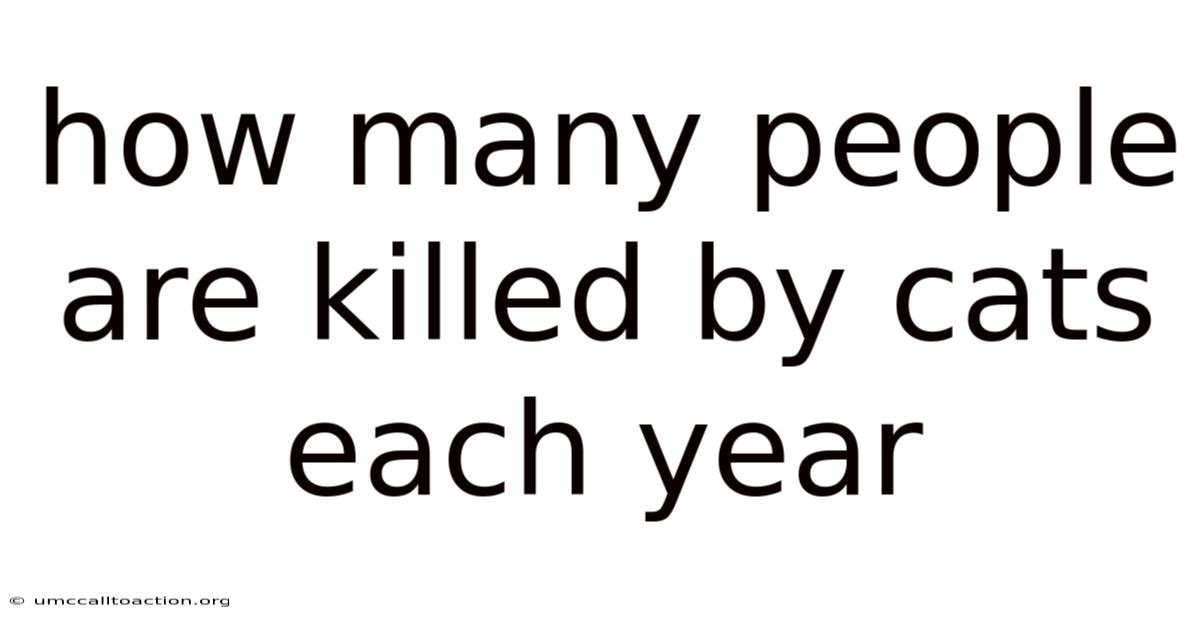 How Many People Are Killed By Cats Each Year