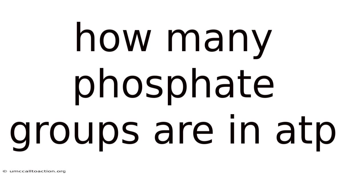 How Many Phosphate Groups Are In Atp