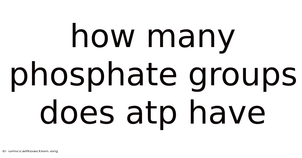 How Many Phosphate Groups Does Atp Have