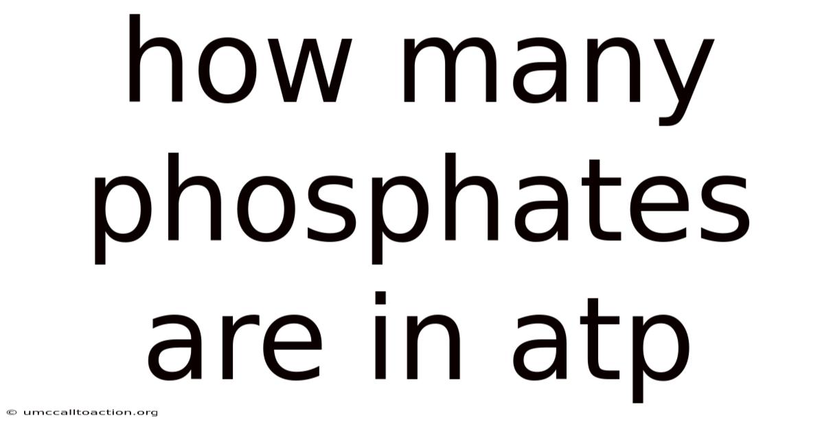 How Many Phosphates Are In Atp