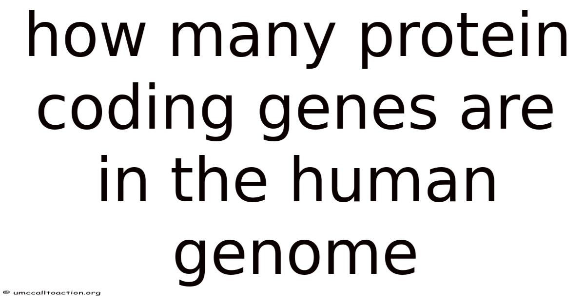How Many Protein Coding Genes Are In The Human Genome