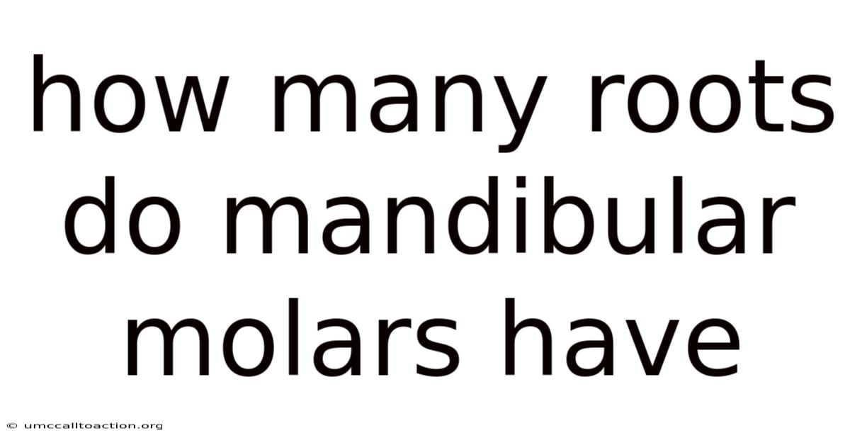 How Many Roots Do Mandibular Molars Have