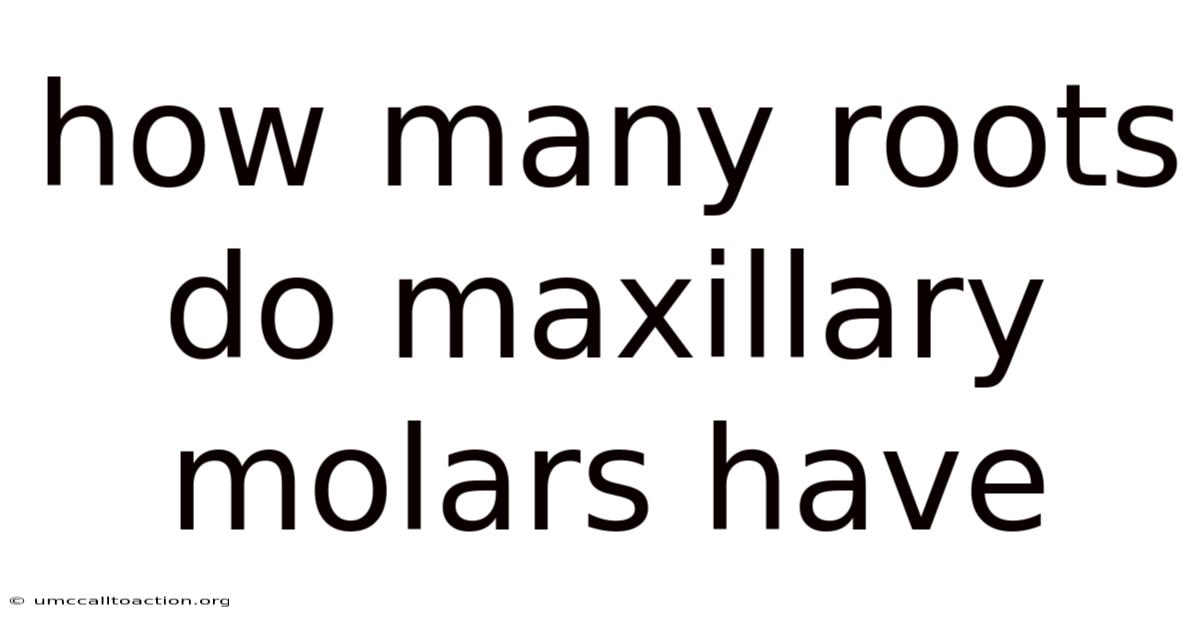 How Many Roots Do Maxillary Molars Have