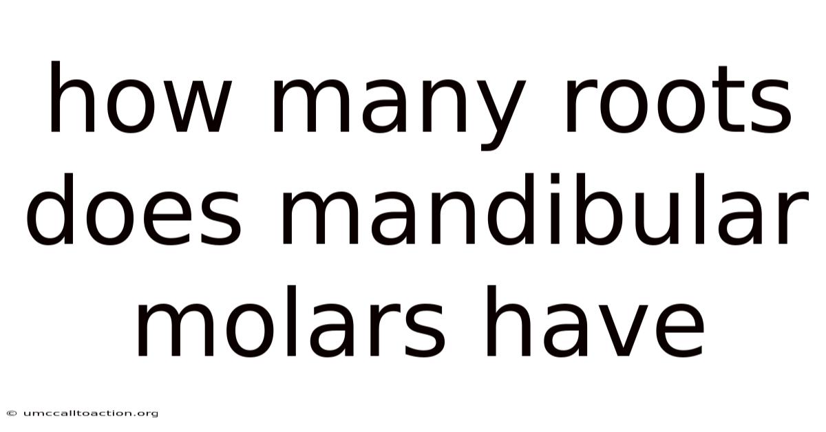 How Many Roots Does Mandibular Molars Have