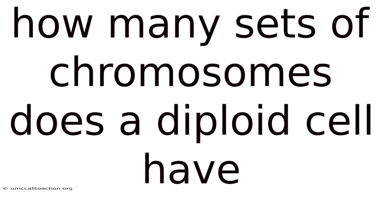 How Many Sets Of Chromosomes Does A Diploid Cell Have