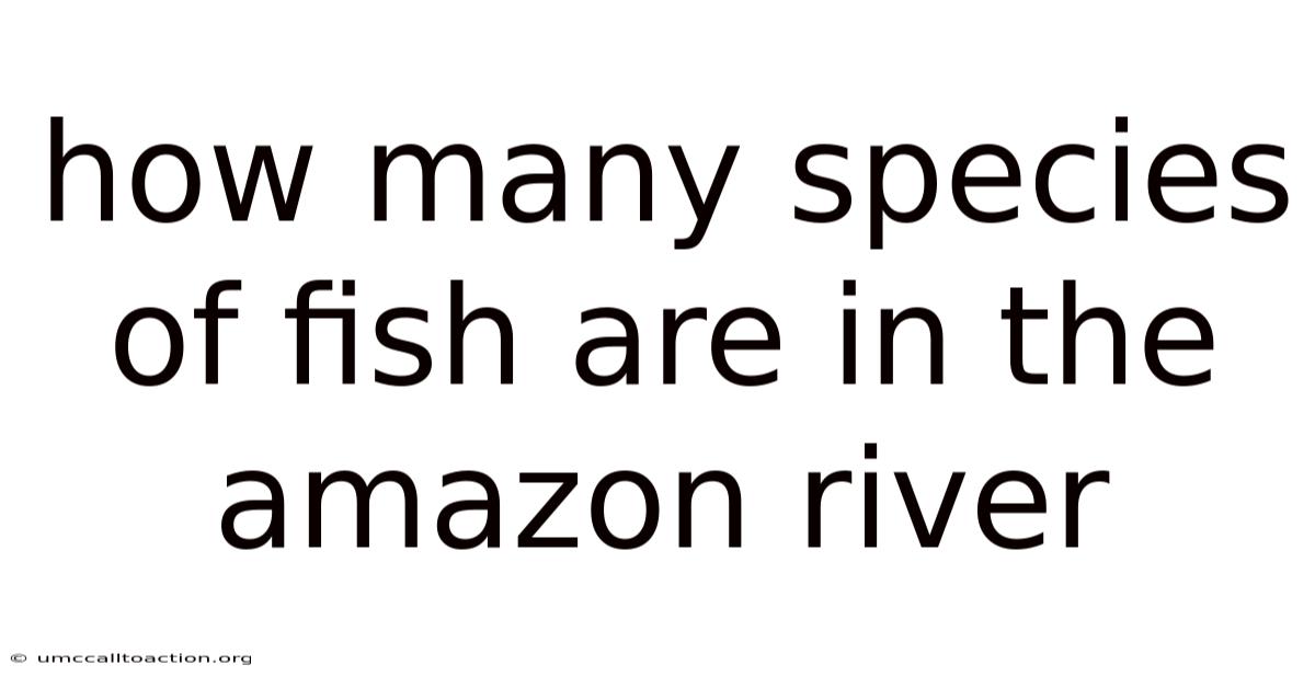 How Many Species Of Fish Are In The Amazon River