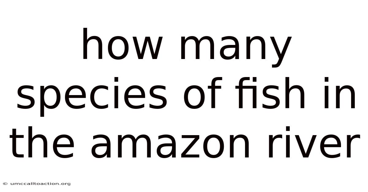 How Many Species Of Fish In The Amazon River