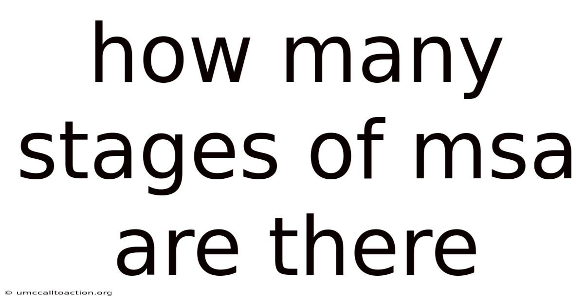 How Many Stages Of Msa Are There