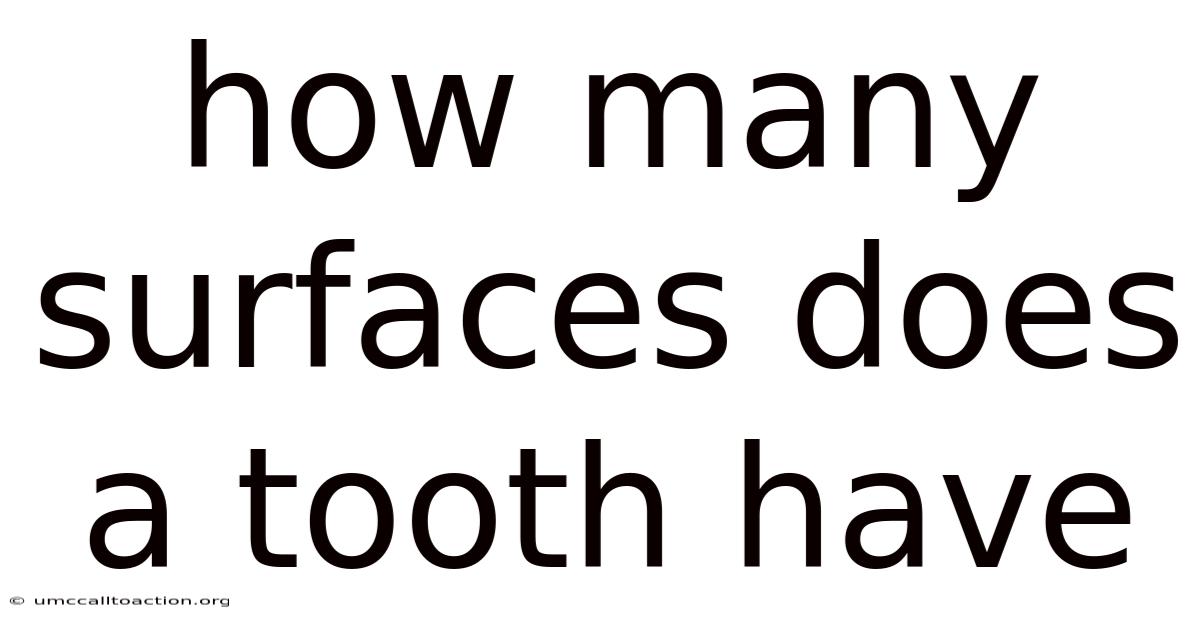 How Many Surfaces Does A Tooth Have