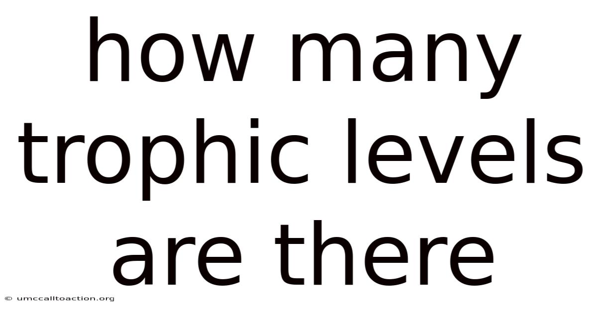 How Many Trophic Levels Are There