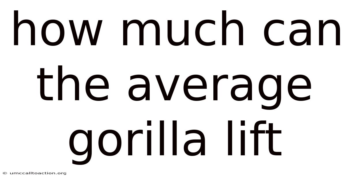 How Much Can The Average Gorilla Lift