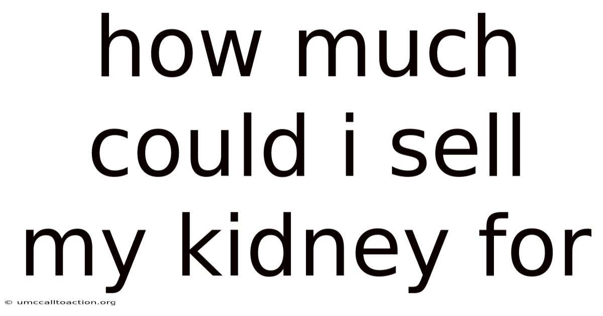 How Much Could I Sell My Kidney For