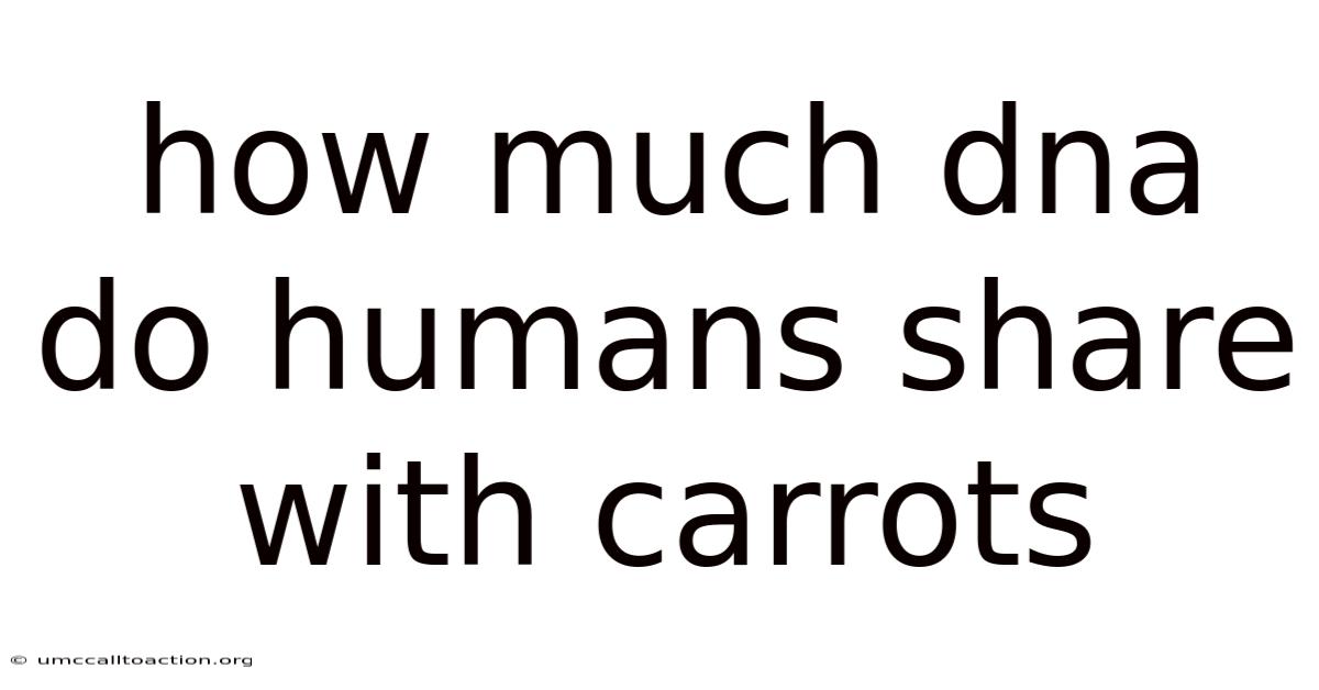 How Much Dna Do Humans Share With Carrots