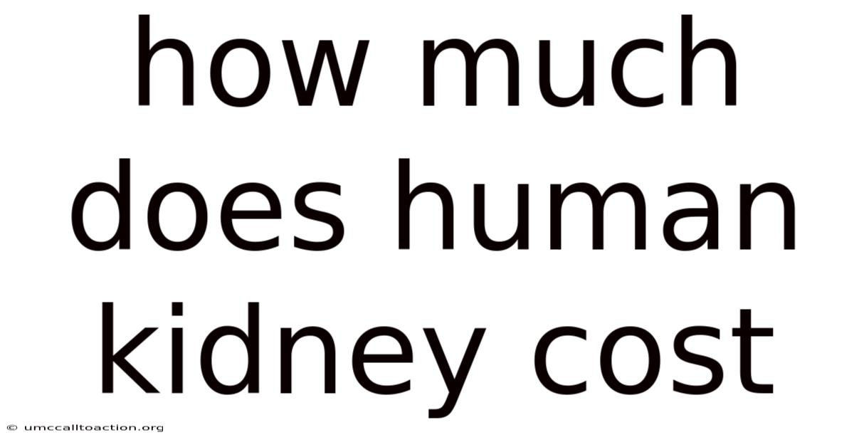 How Much Does Human Kidney Cost