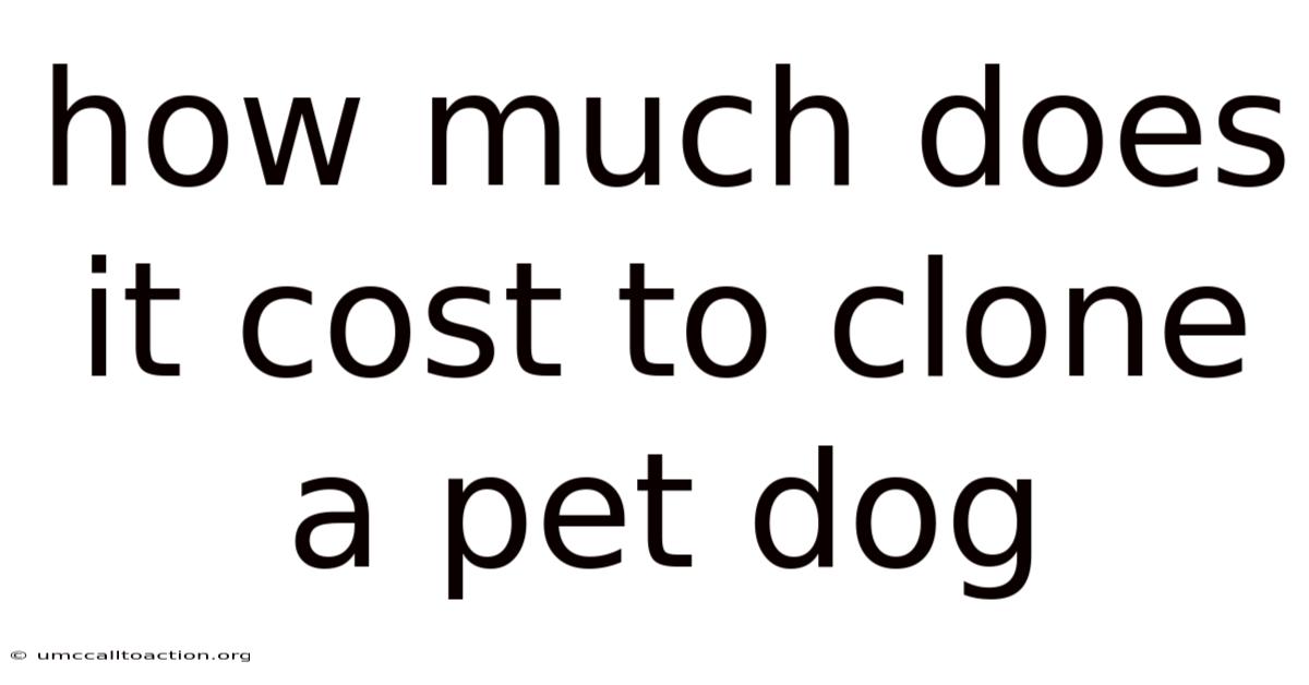 How Much Does It Cost To Clone A Pet Dog