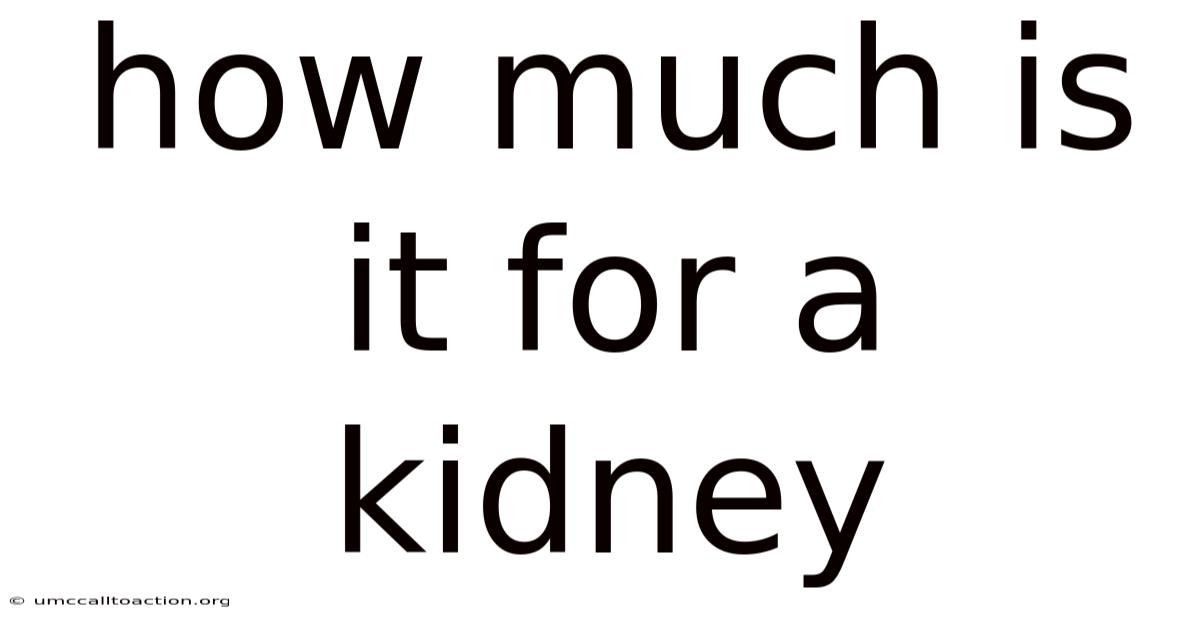 How Much Is It For A Kidney
