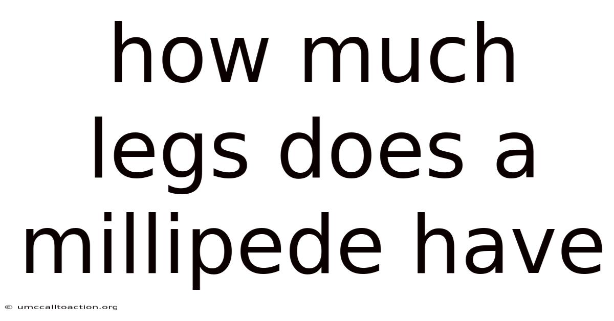 How Much Legs Does A Millipede Have
