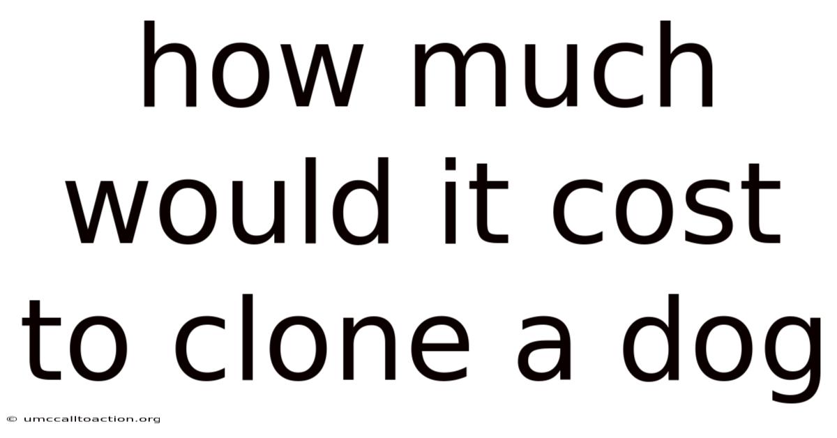 How Much Would It Cost To Clone A Dog