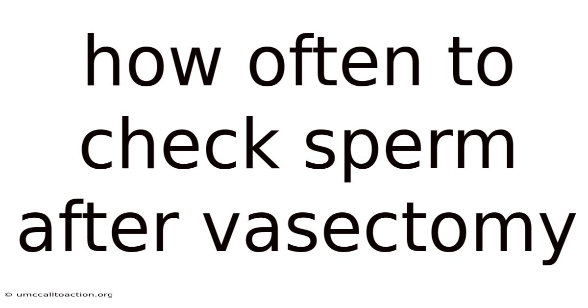 How Often To Check Sperm After Vasectomy