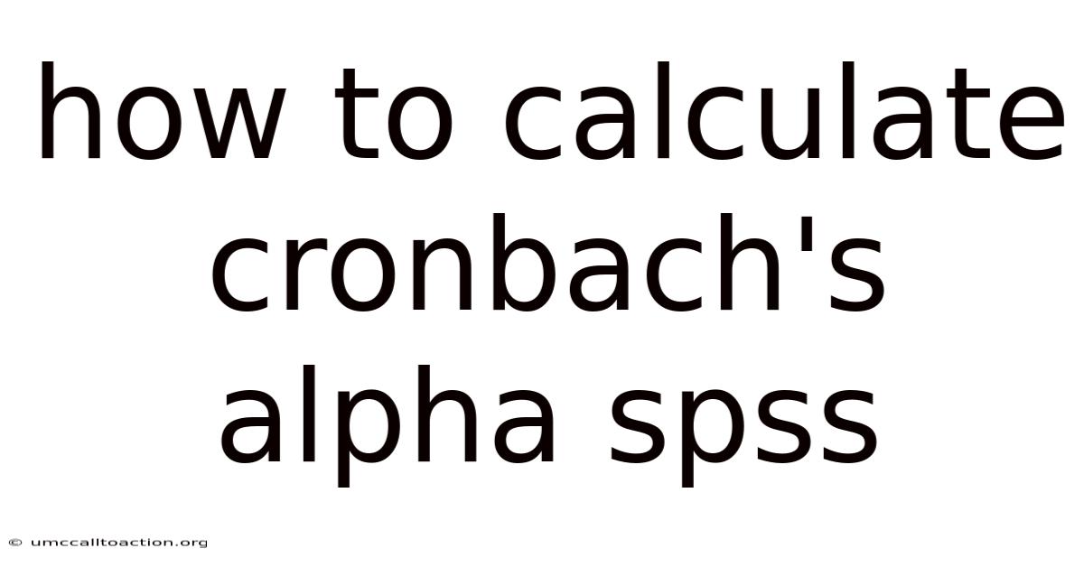 How To Calculate Cronbach's Alpha Spss