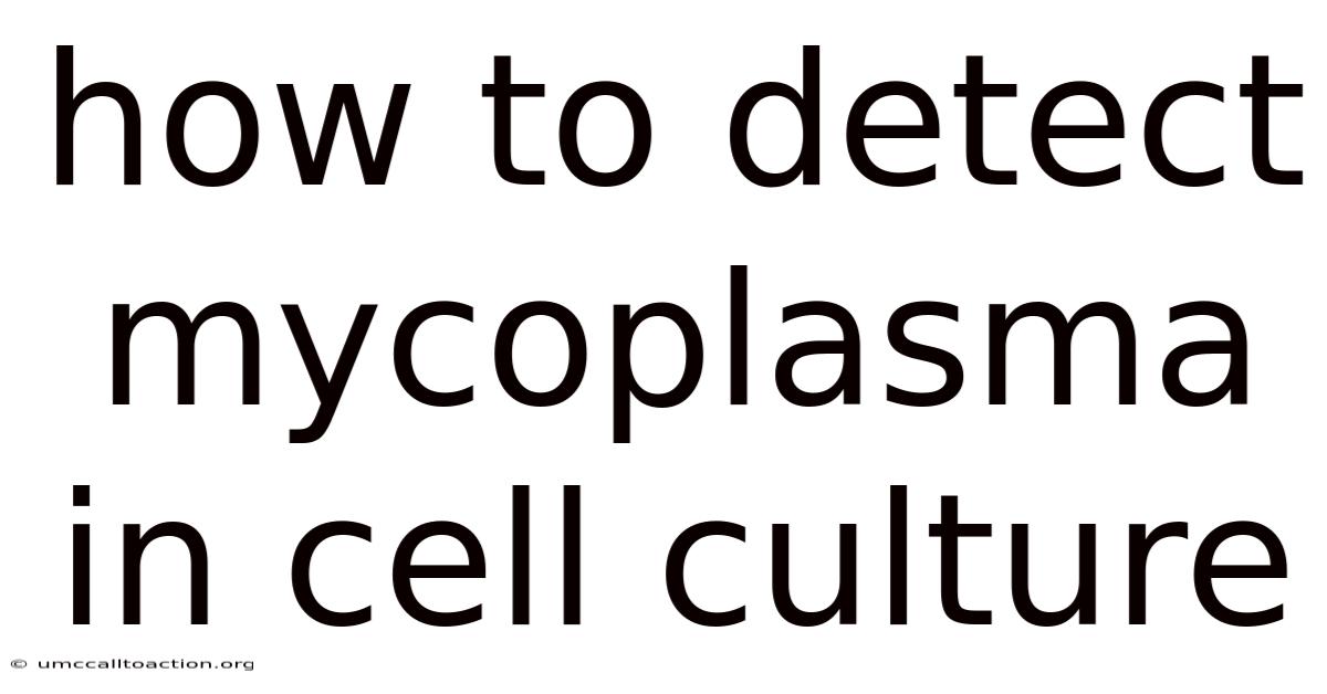 How To Detect Mycoplasma In Cell Culture