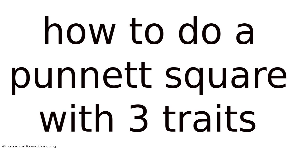 How To Do A Punnett Square With 3 Traits