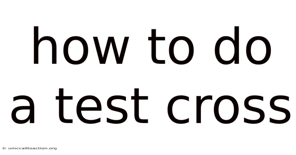 How To Do A Test Cross