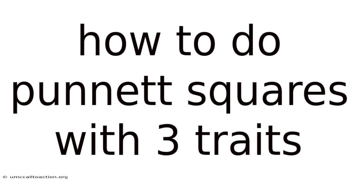 How To Do Punnett Squares With 3 Traits