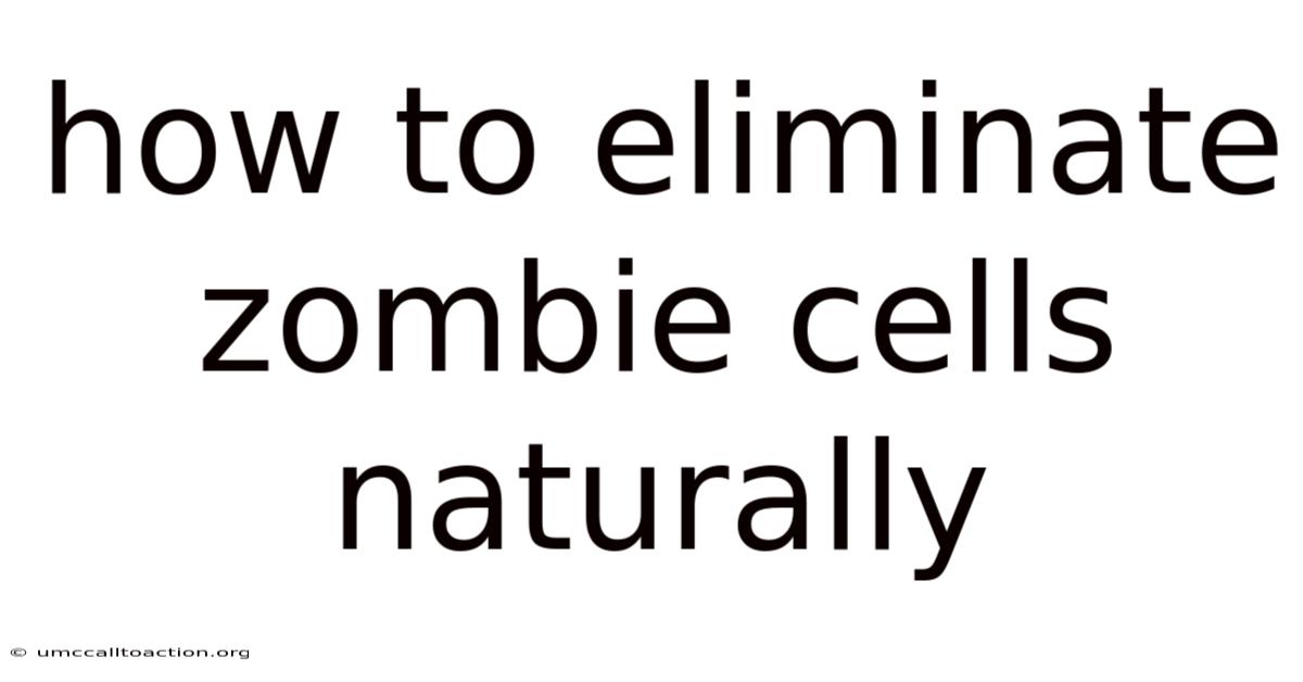 How To Eliminate Zombie Cells Naturally
