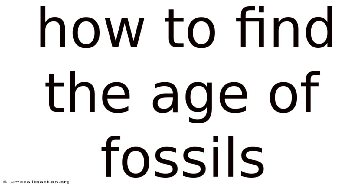 How To Find The Age Of Fossils