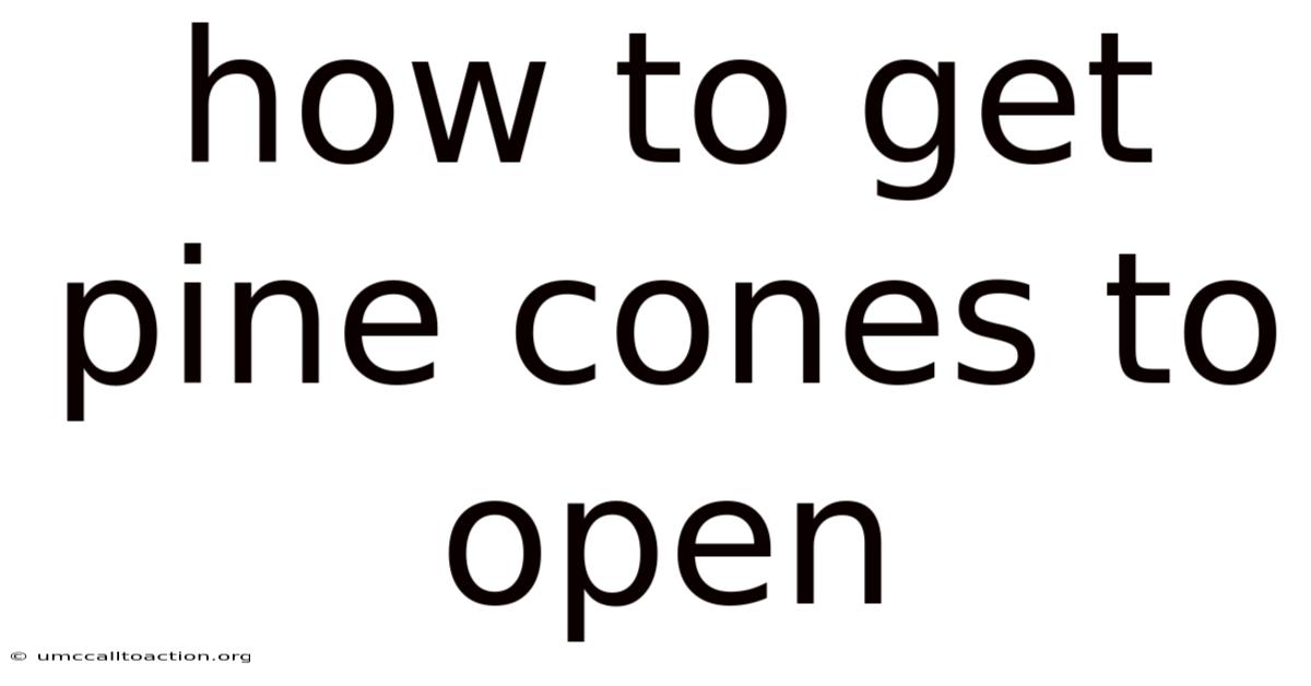 How To Get Pine Cones To Open