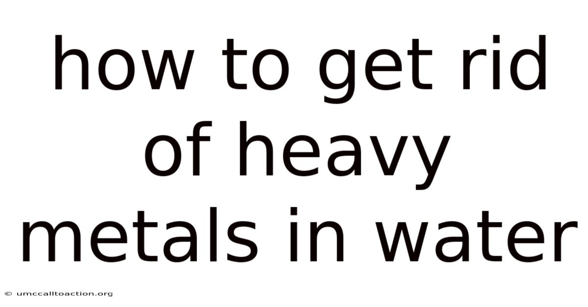 How To Get Rid Of Heavy Metals In Water