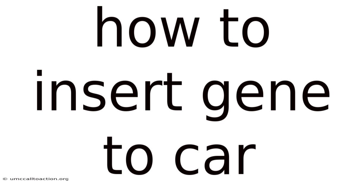 How To Insert Gene To Car
