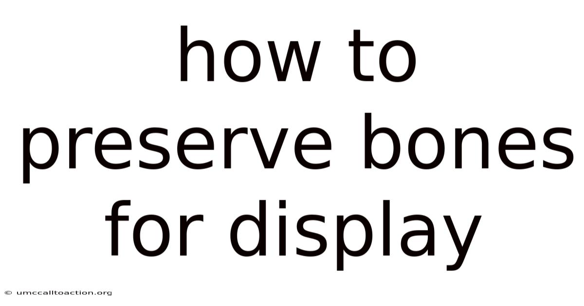 How To Preserve Bones For Display