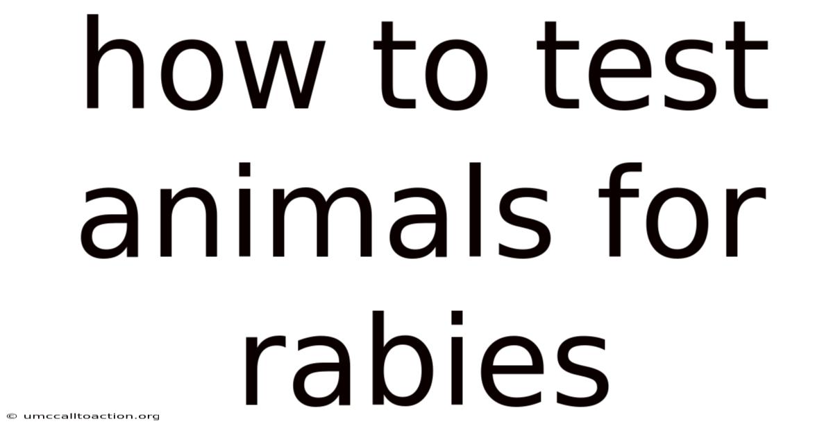 How To Test Animals For Rabies