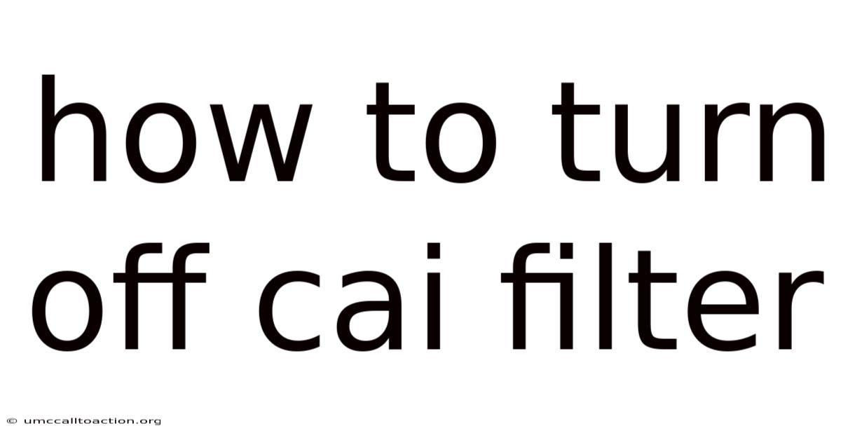 How To Turn Off Cai Filter