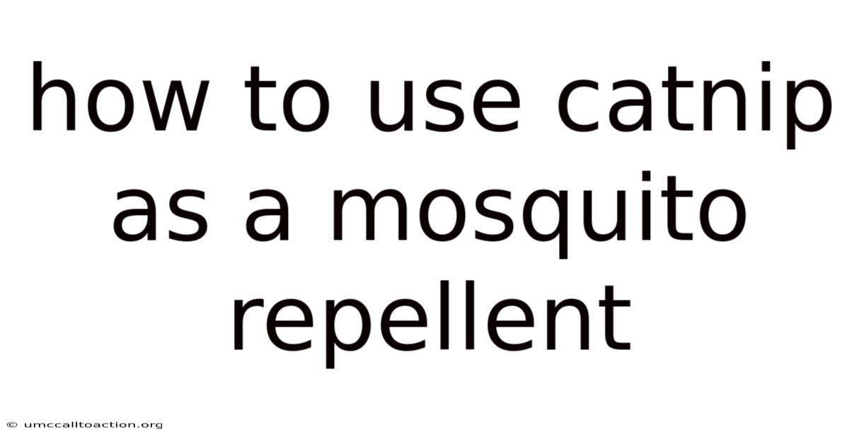 How To Use Catnip As A Mosquito Repellent