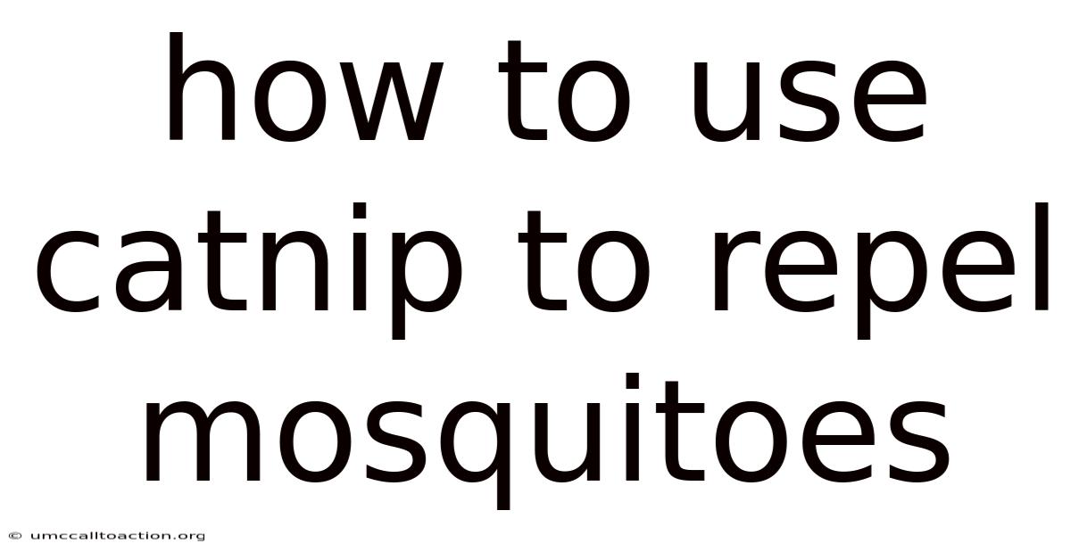 How To Use Catnip To Repel Mosquitoes