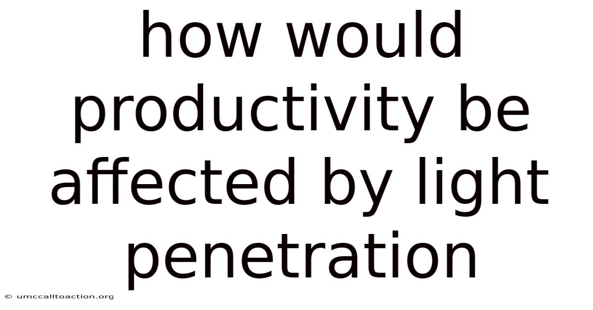 How Would Productivity Be Affected By Light Penetration