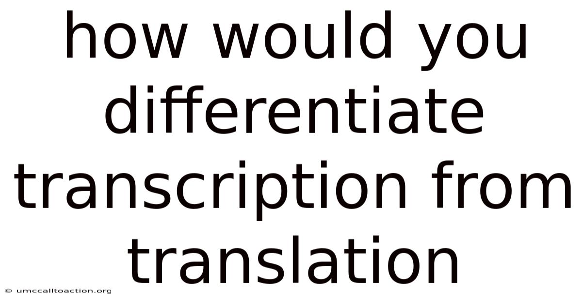 How Would You Differentiate Transcription From Translation