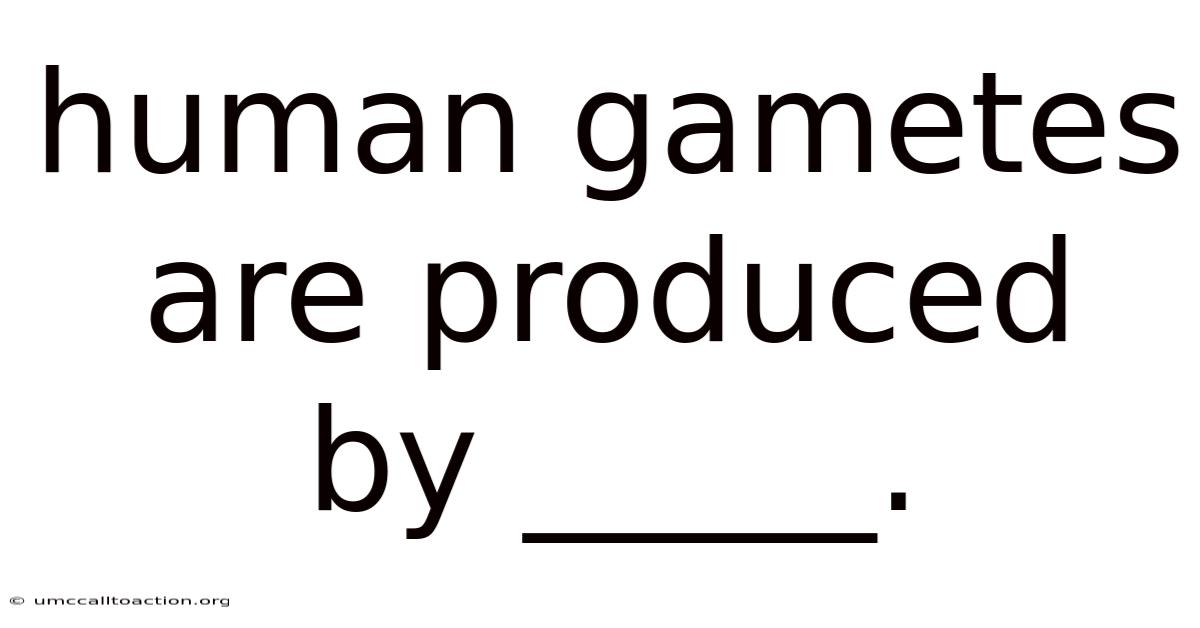 Human Gametes Are Produced By _____.