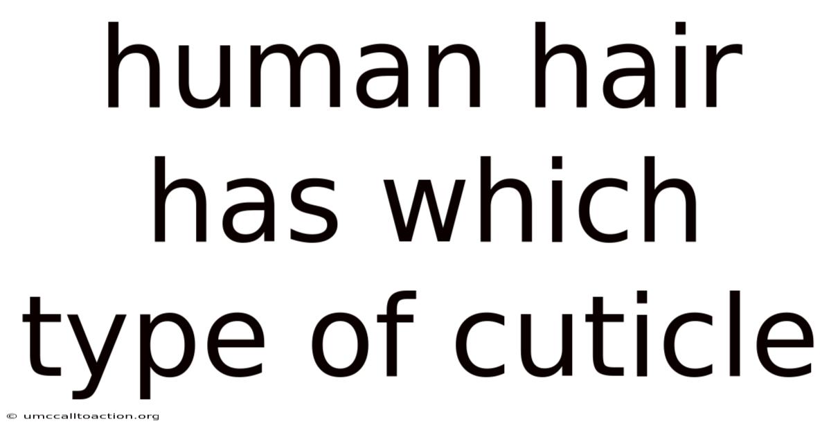 Human Hair Has Which Type Of Cuticle